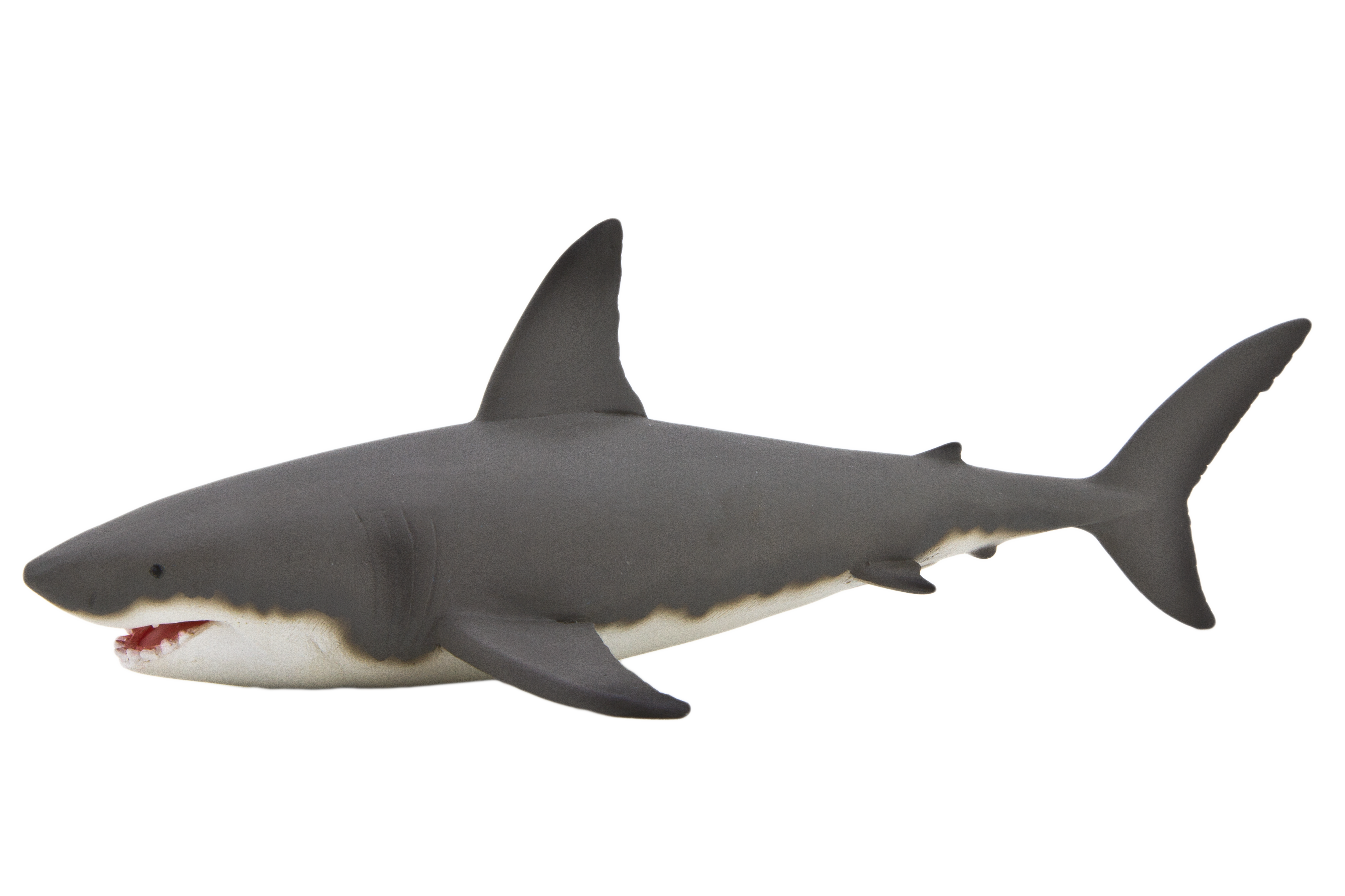 Tubarão de desenho animado