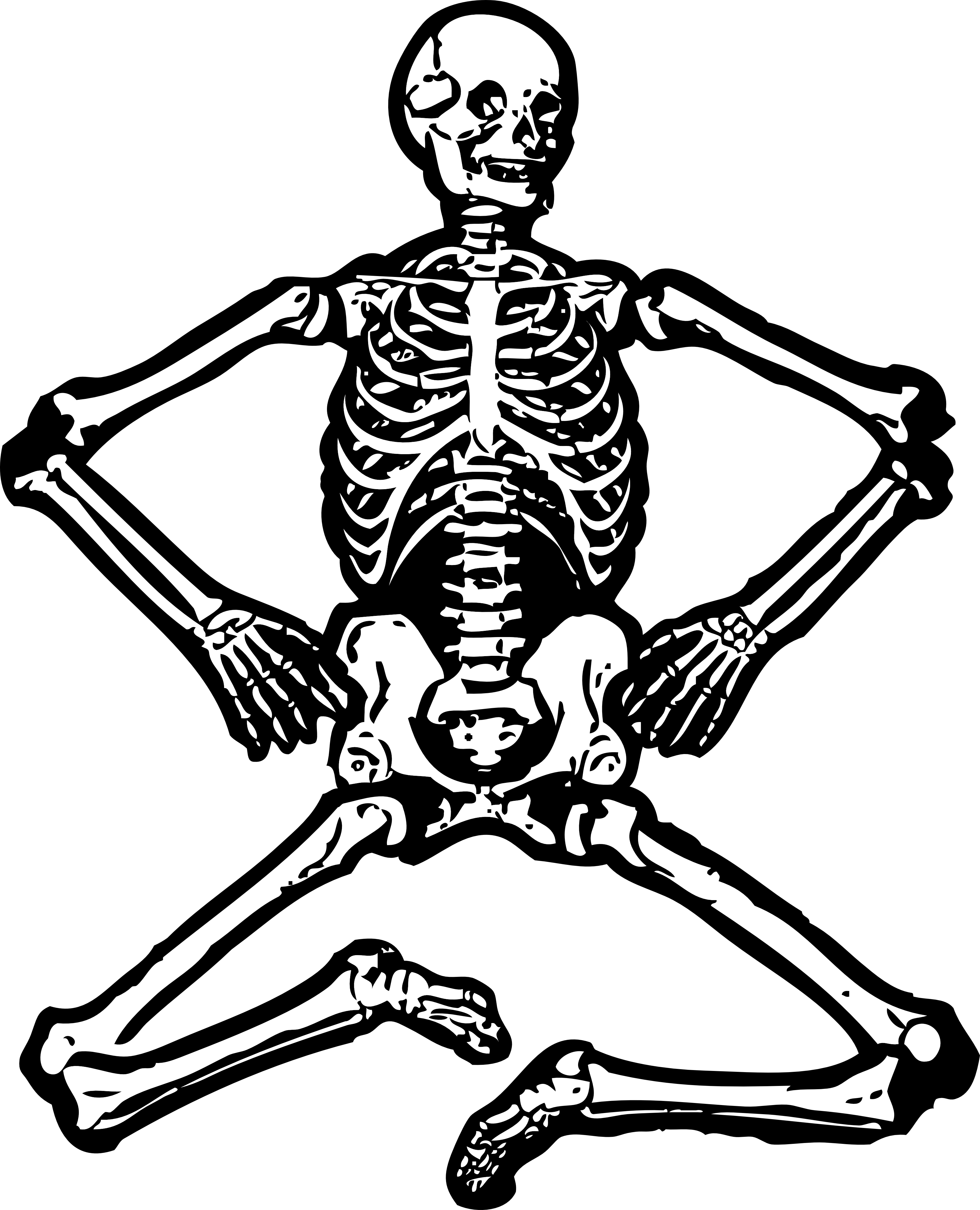 Skelett
