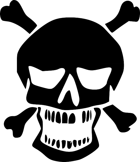 Logo tête de mort