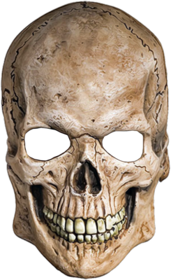 Skelettschädel