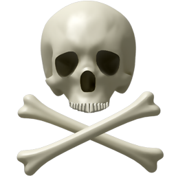Crânio e ossos de esqueleto