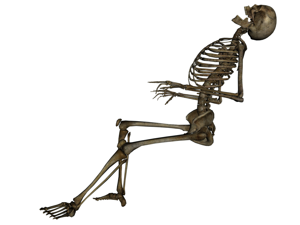 Squelette, squelette