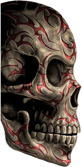 Szkielet czaszki