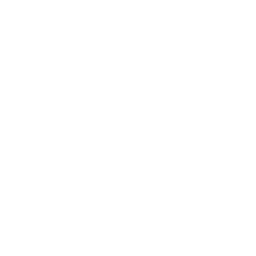 Fiocco di neve