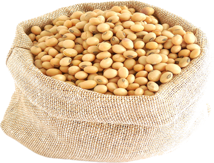 Un sacchetto di semi di soia