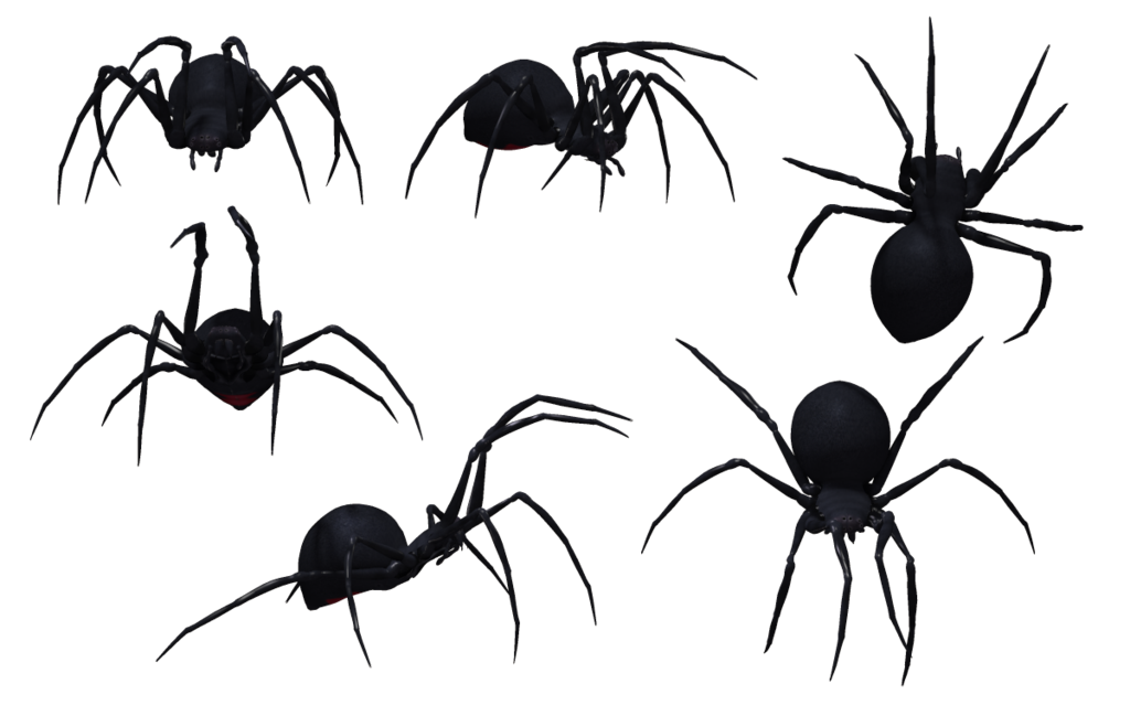 Aranha viúva negra