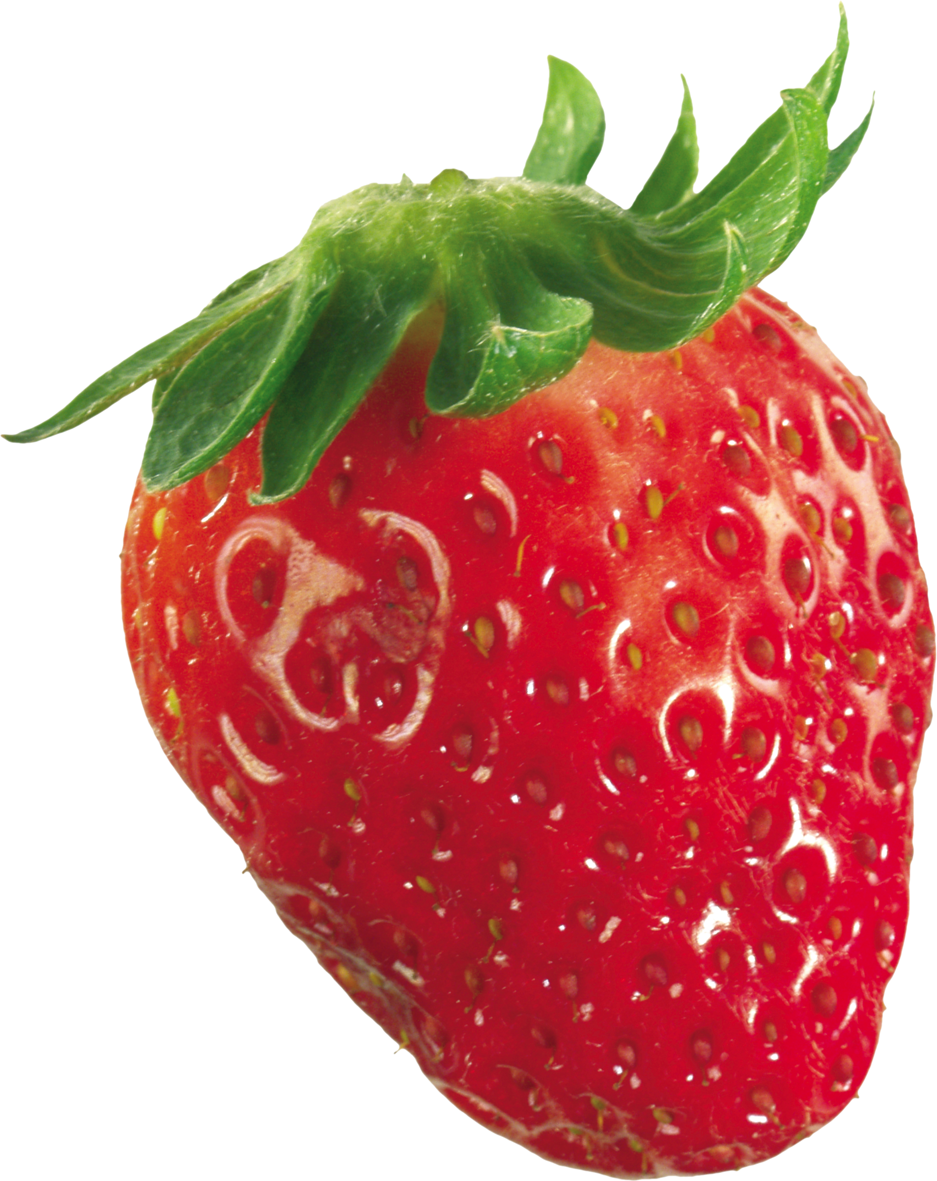 Große Erdbeere