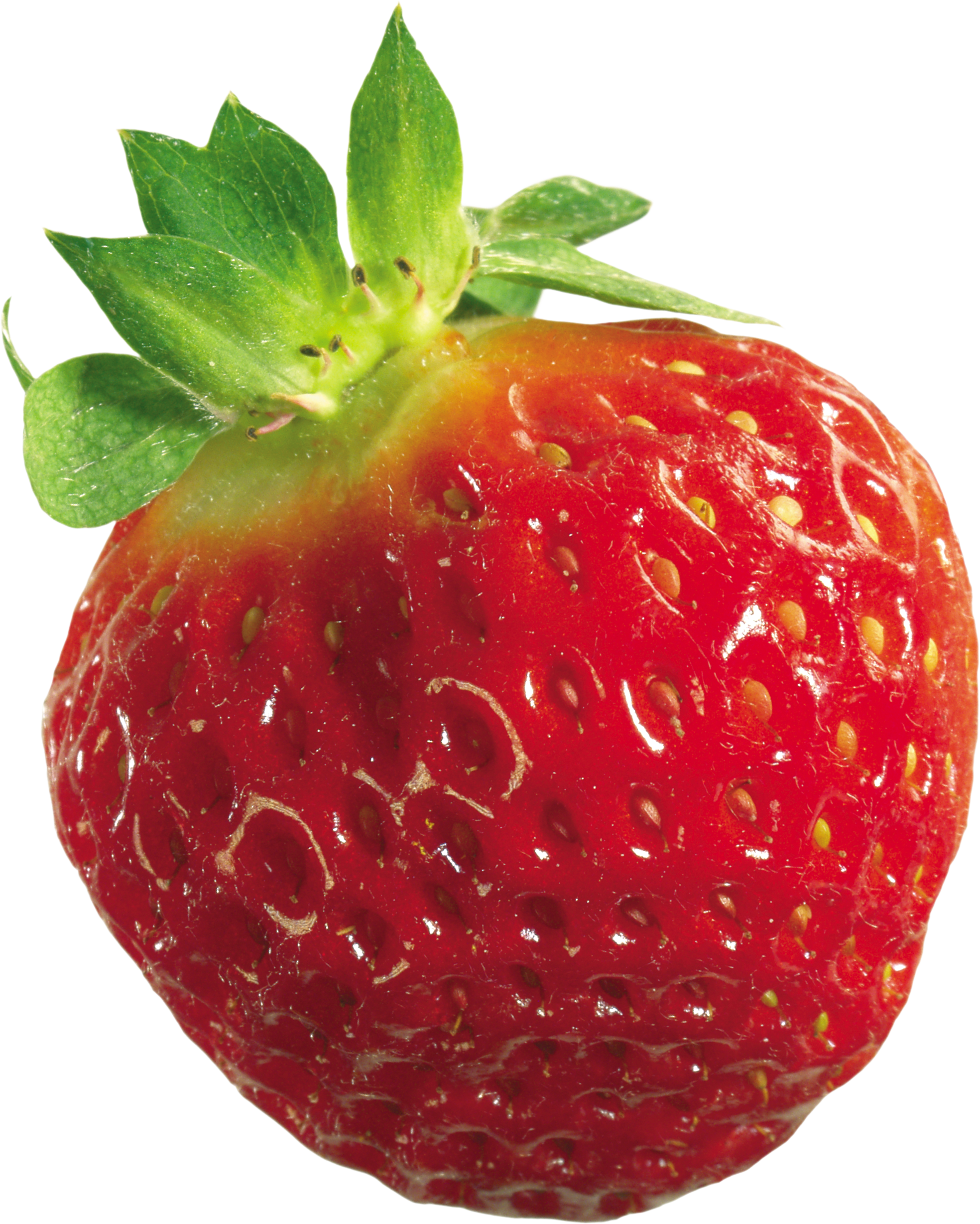 Grosse fraise rouge