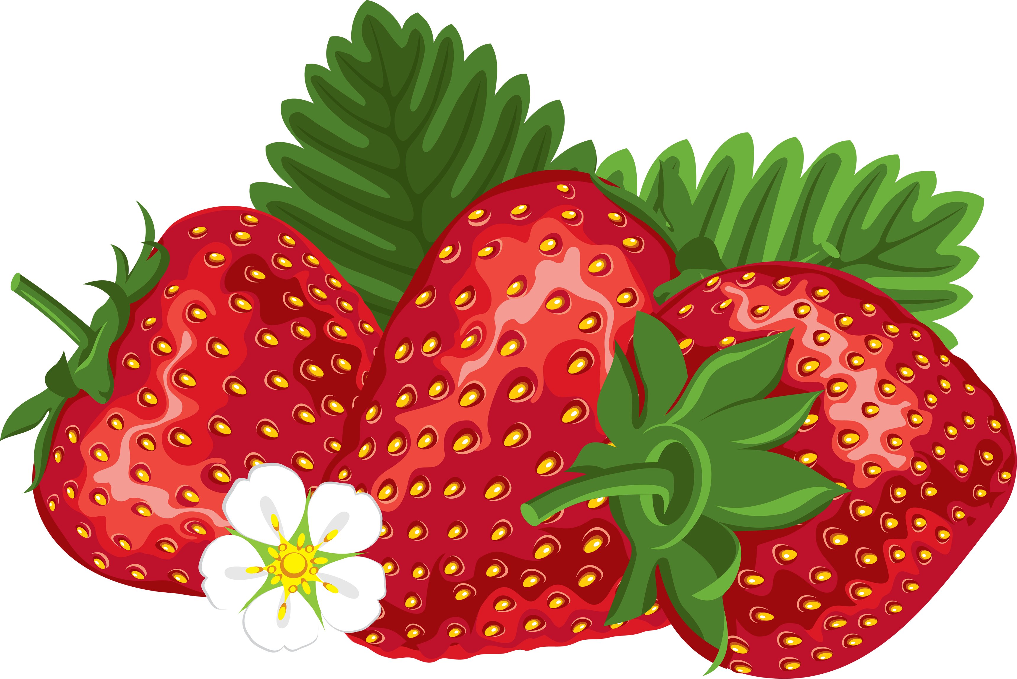 Trois fraises