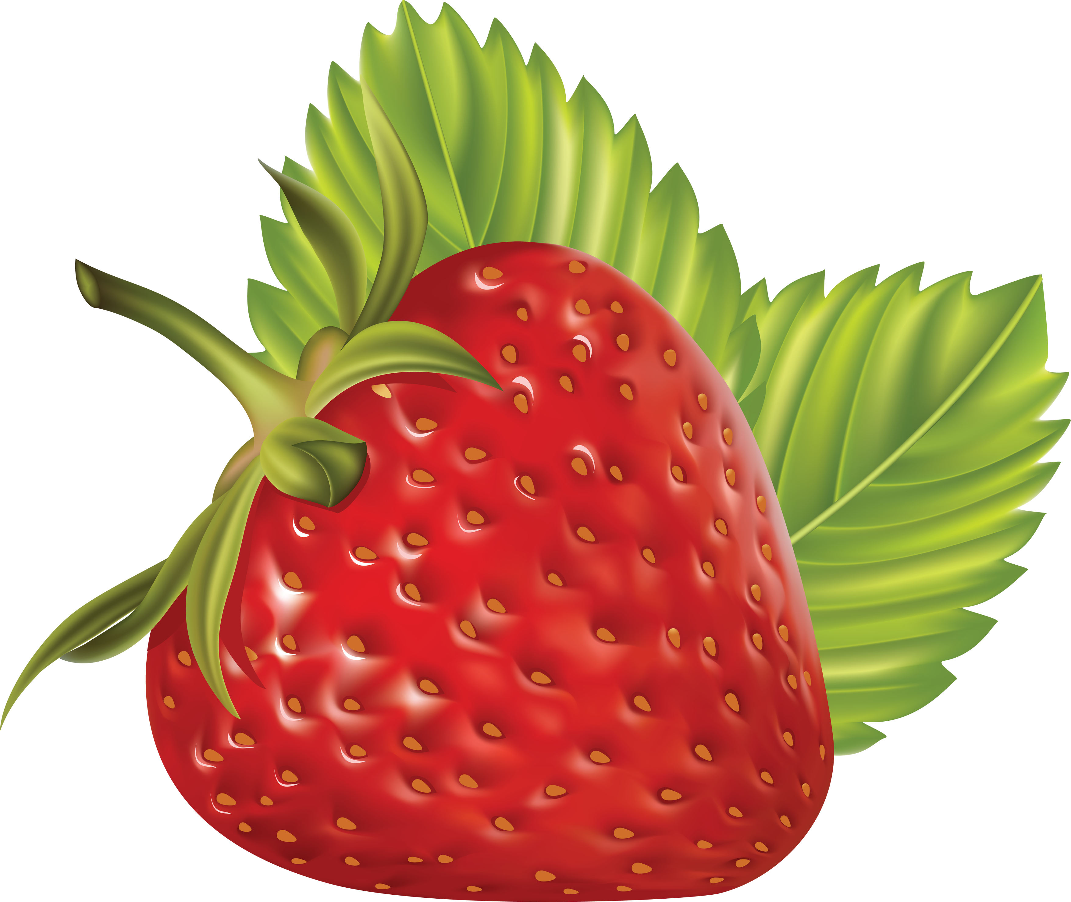 Erdbeere mit Blättern