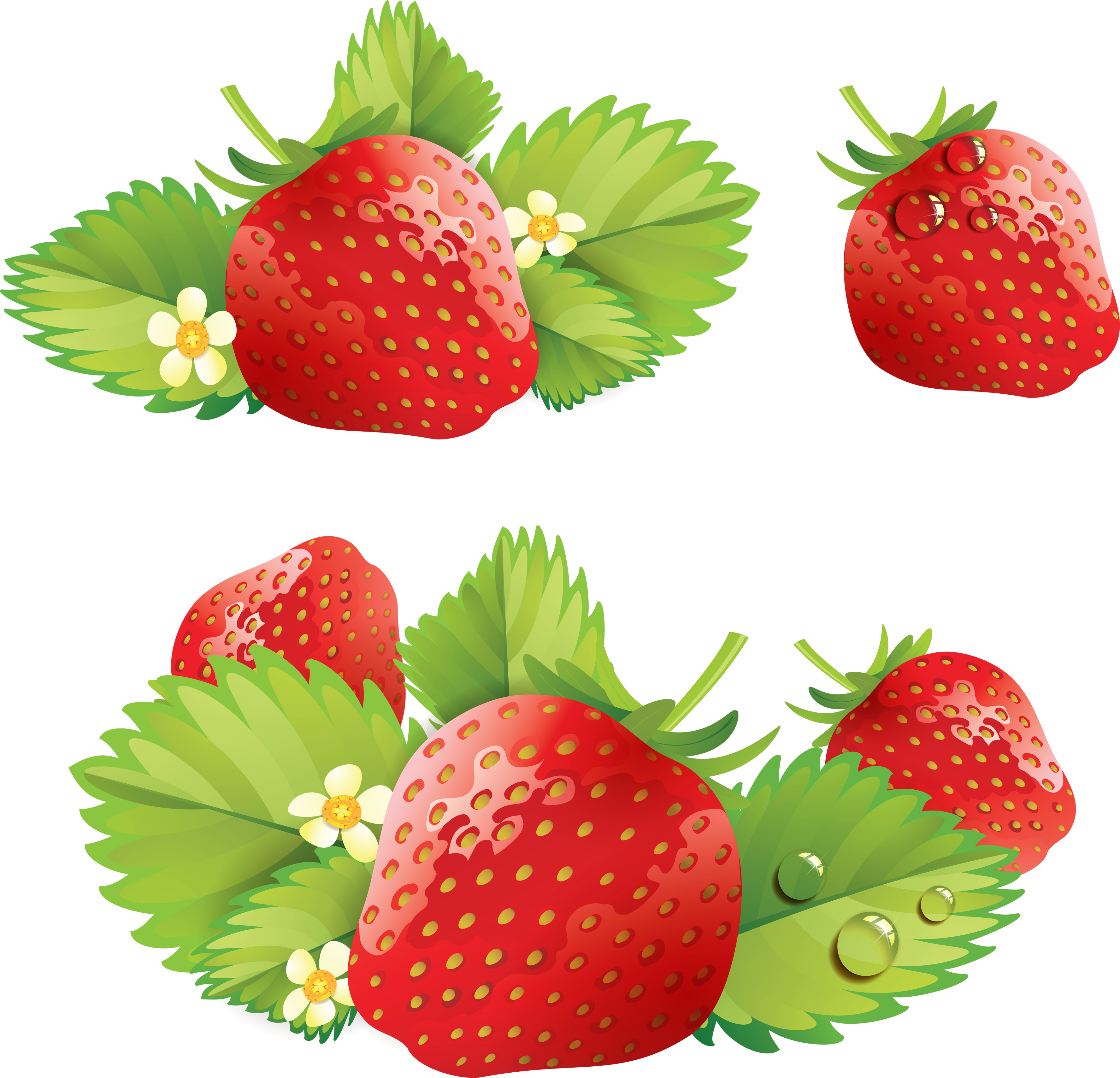 带叶子的草莓