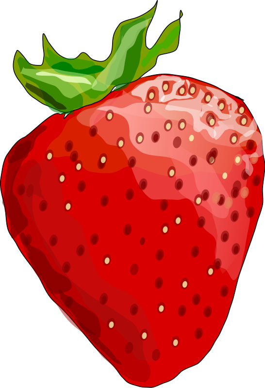 Erdbeer-Rendering