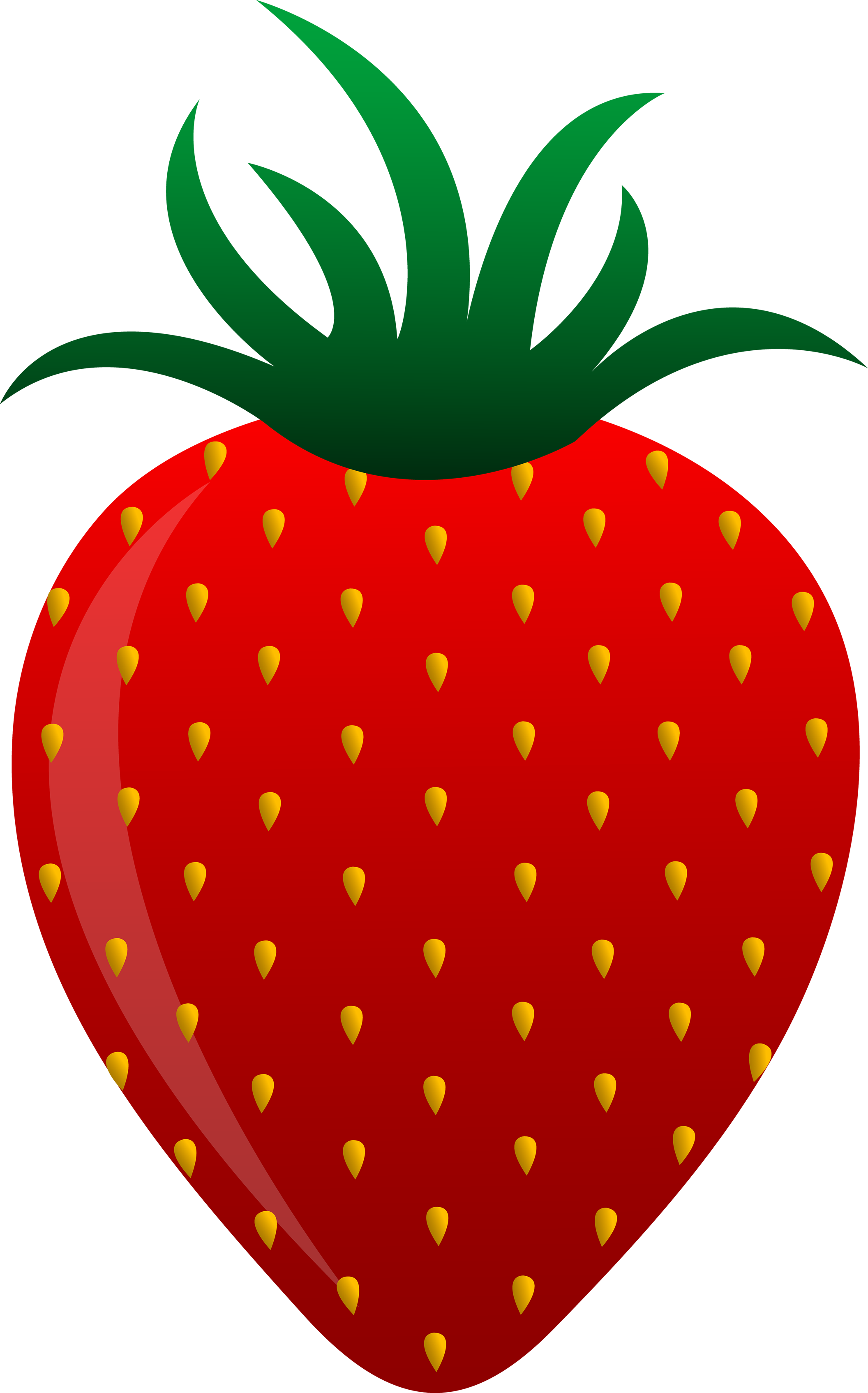 Grande fraise mûre rouge