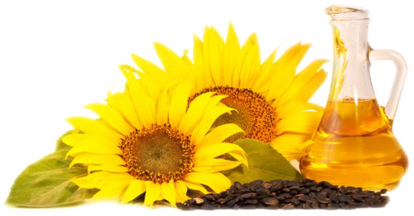 Minyak biji bunga matahari