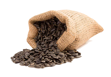 Um pacote de sementes de girassol e sementes de girassol