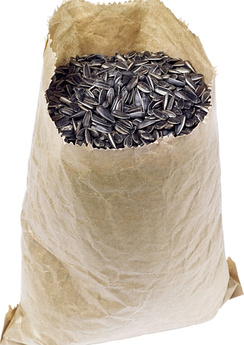 Un sacchetto di semi di girasole e semi di girasole