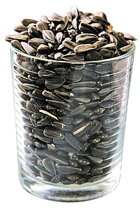 Uma xícara de sementes de girassol, sementes de girassol