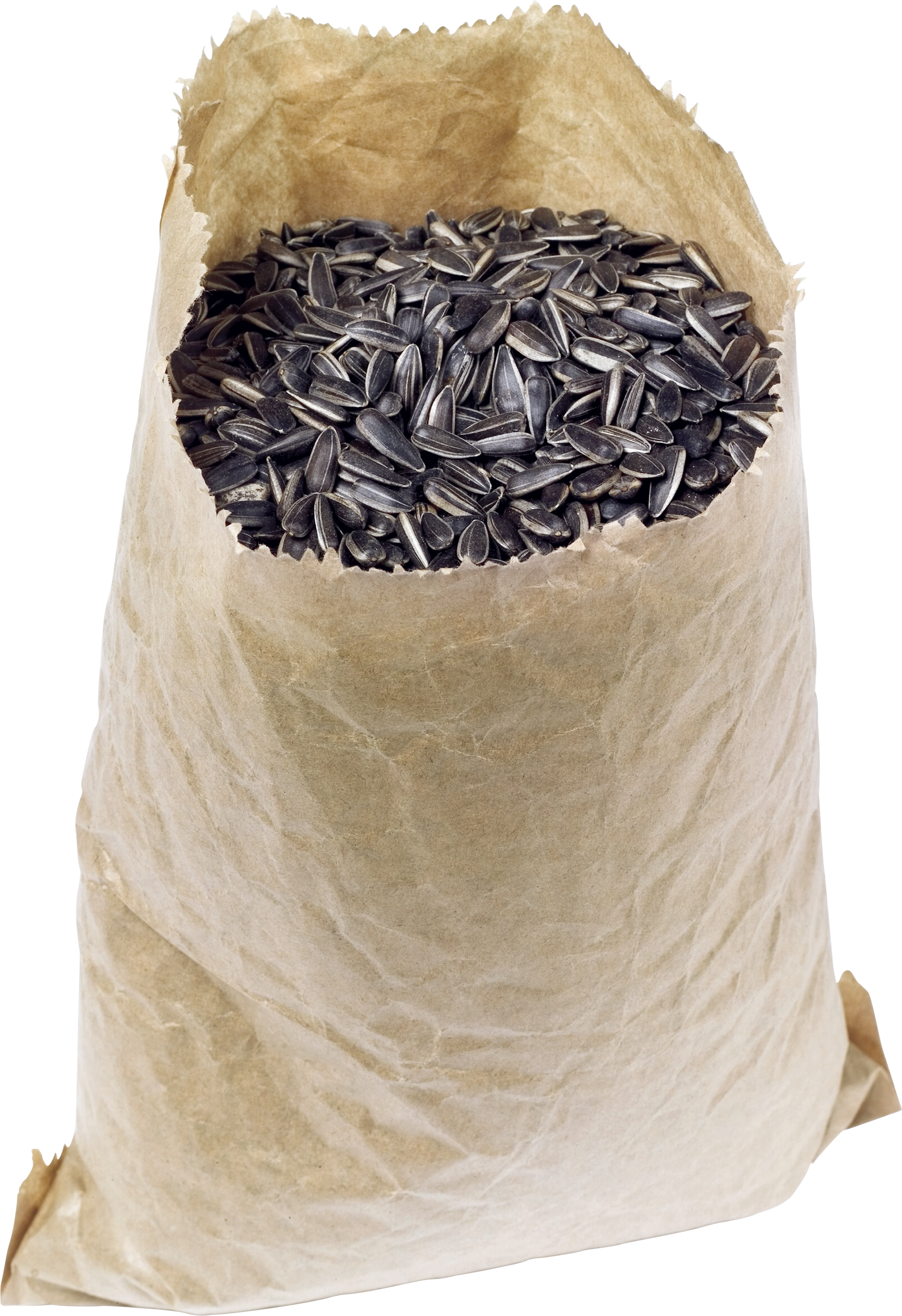 Um saco de sementes de girassol e sementes de girassol