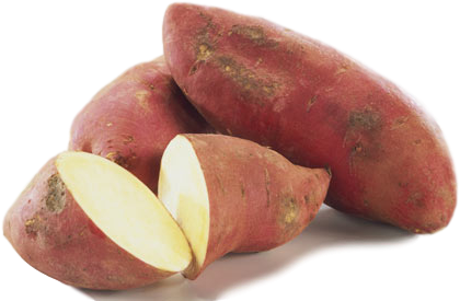 Süßkartoffel mit weißem Fleisch, Süßkartoffel