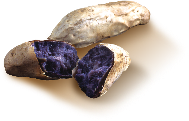 Pomme de terre violette, patate douce