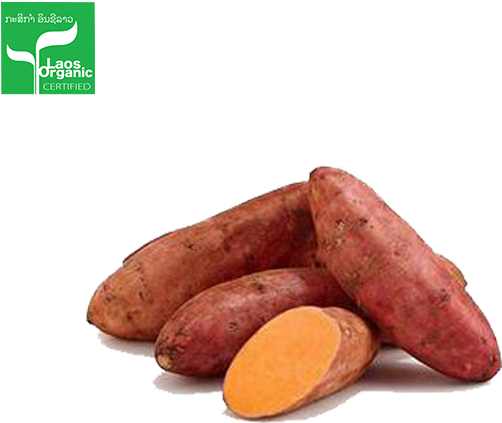 Bio Süßkartoffeln