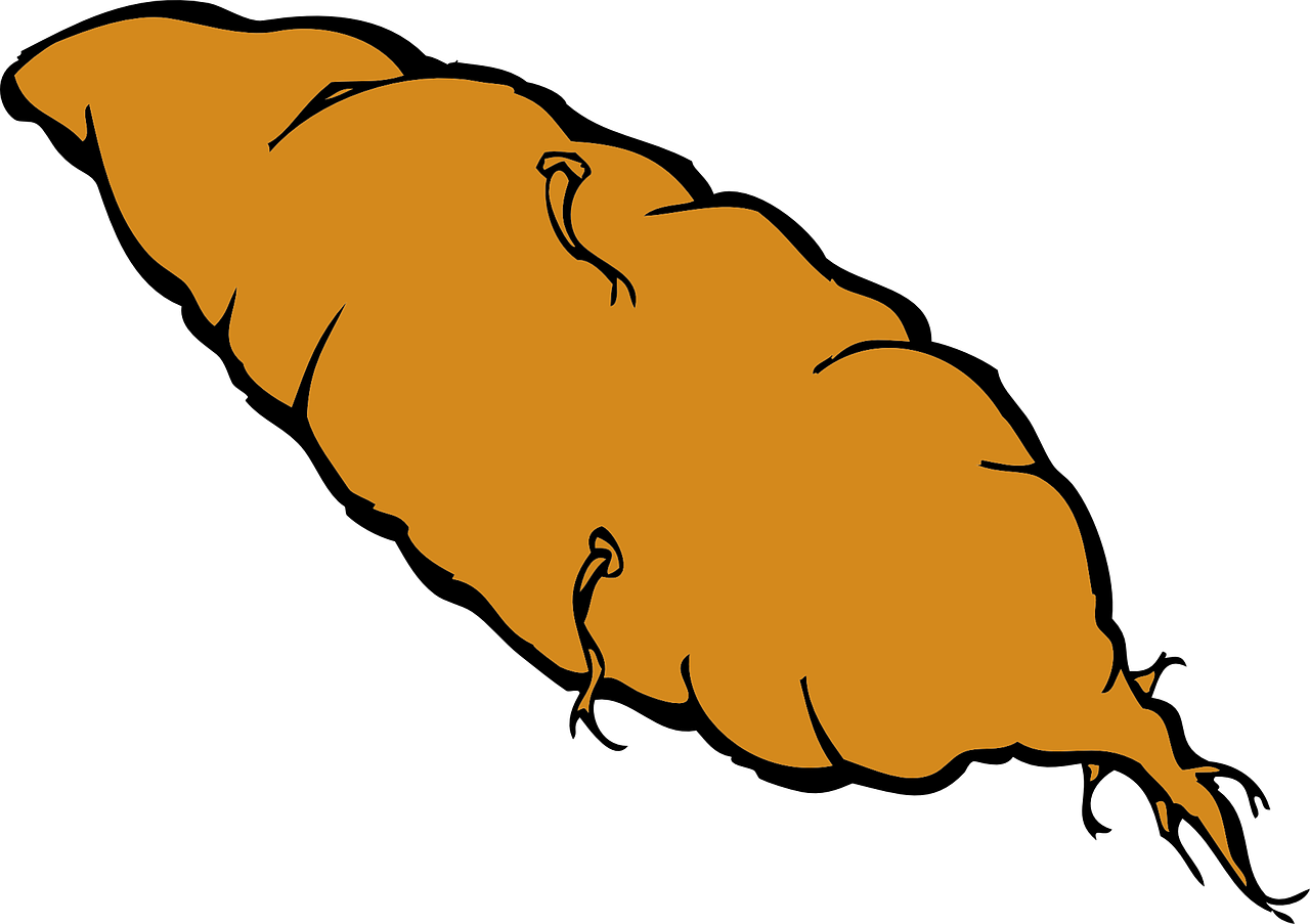 Clip-art de raiz de batata doce