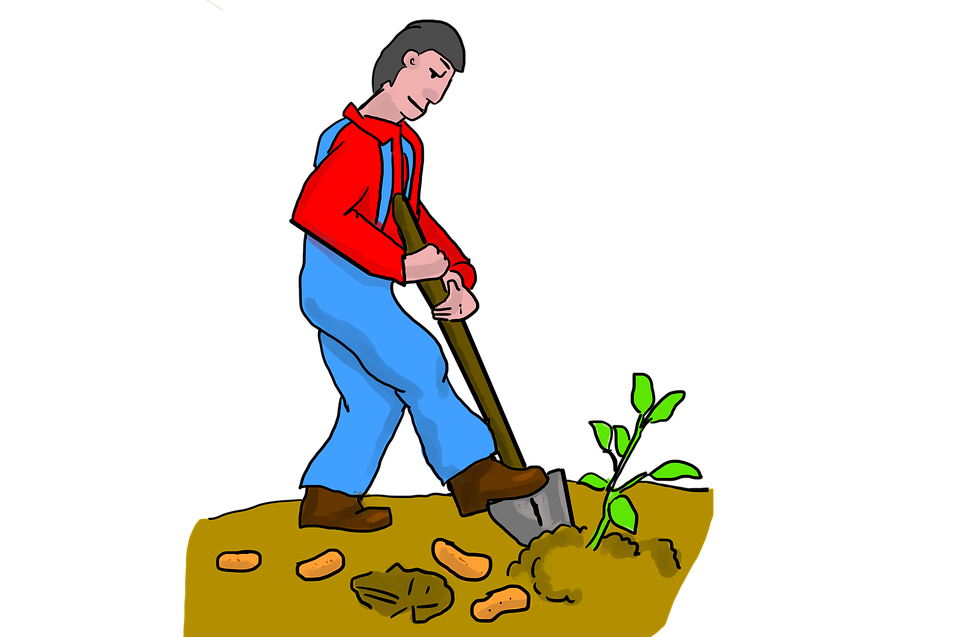サツマイモを掘る、農家のクリップアート