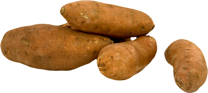 Bulwy słodkich ziemniaków