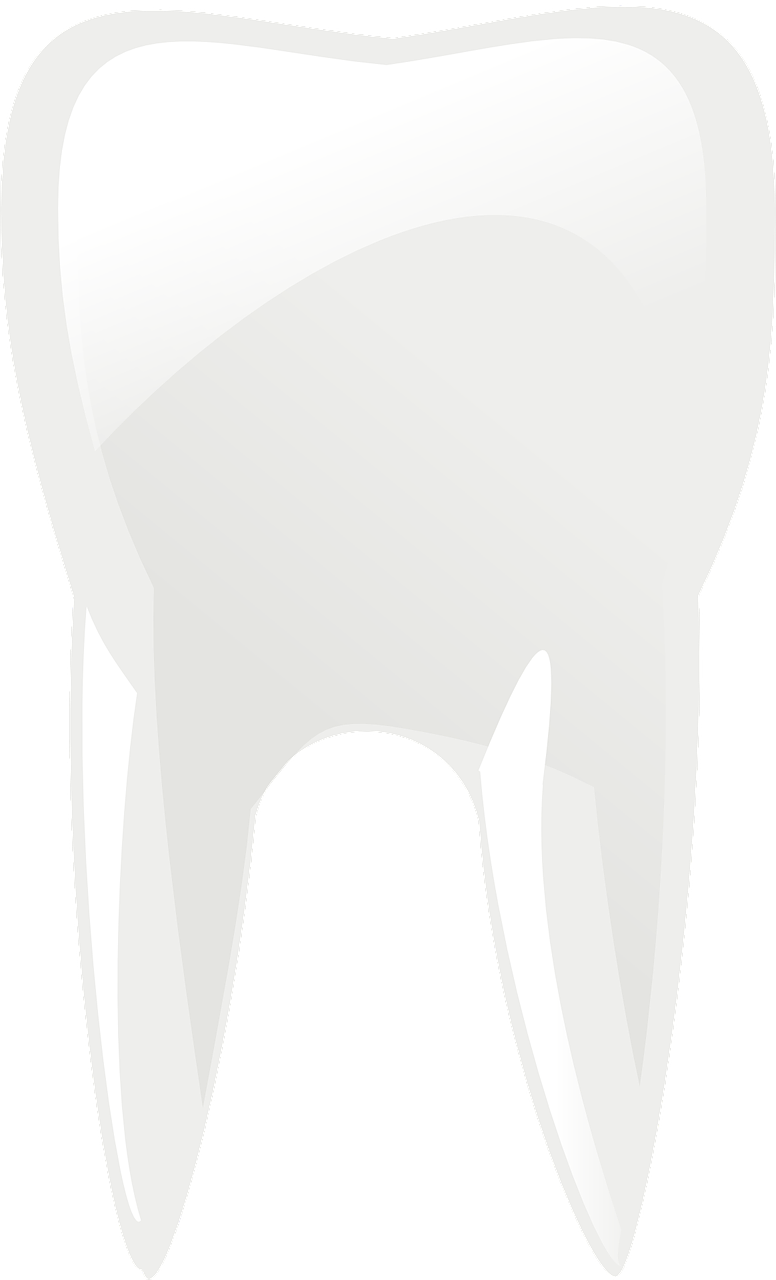 Hàm răng
