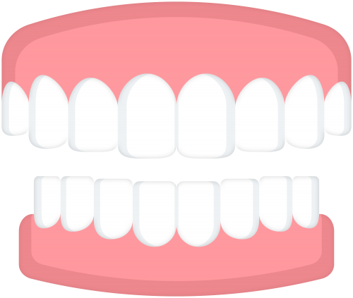 Hàm răng