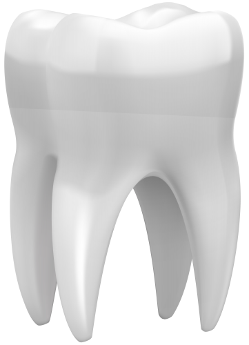 Zähne