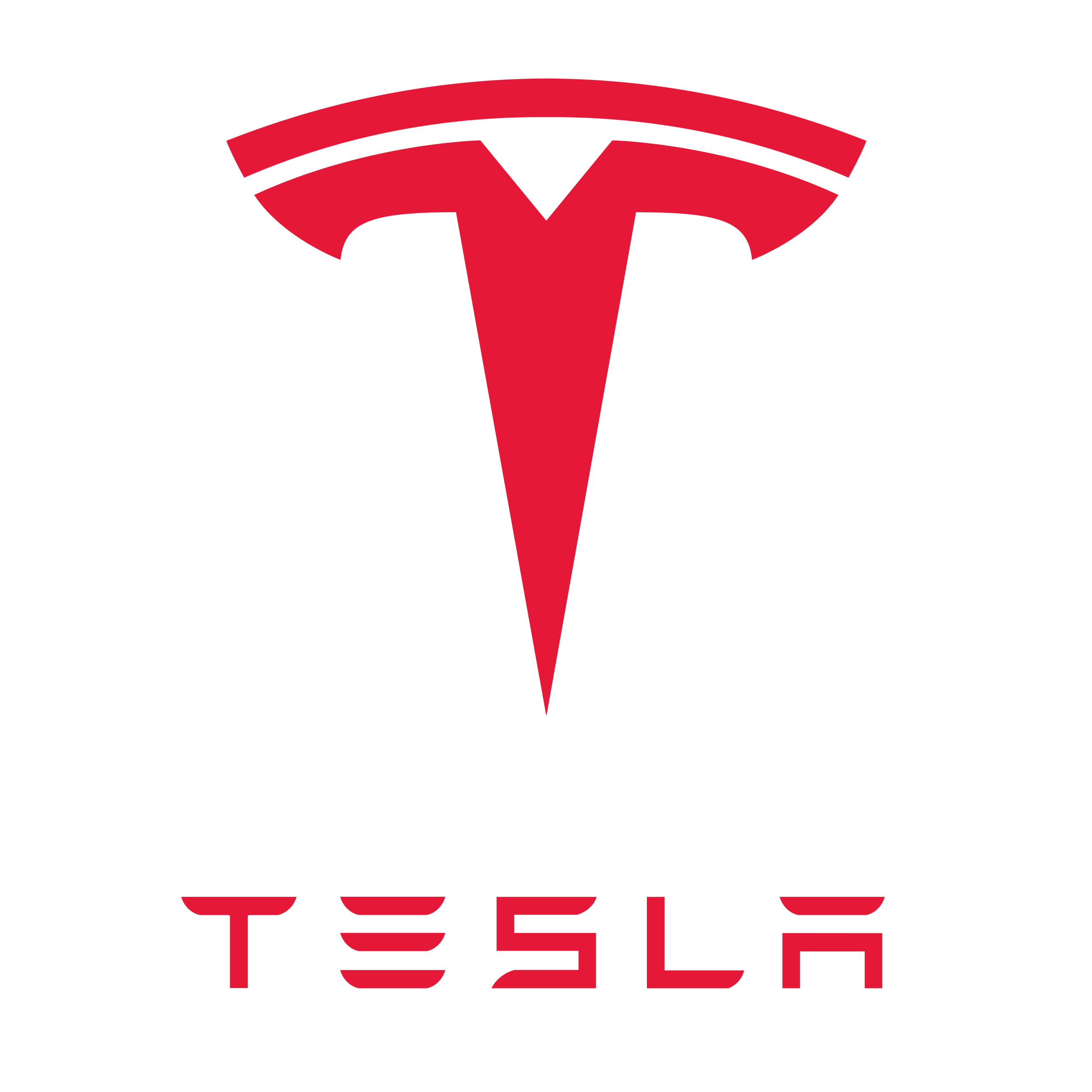 Logotipo da Tesla