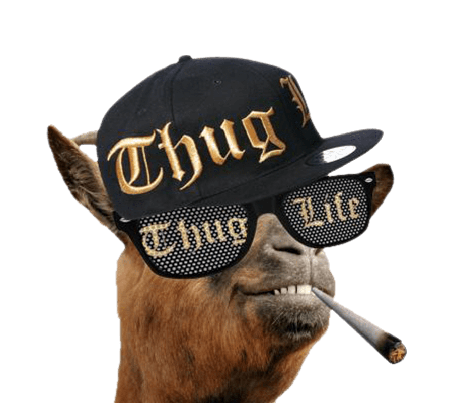 Thug Life Ziege