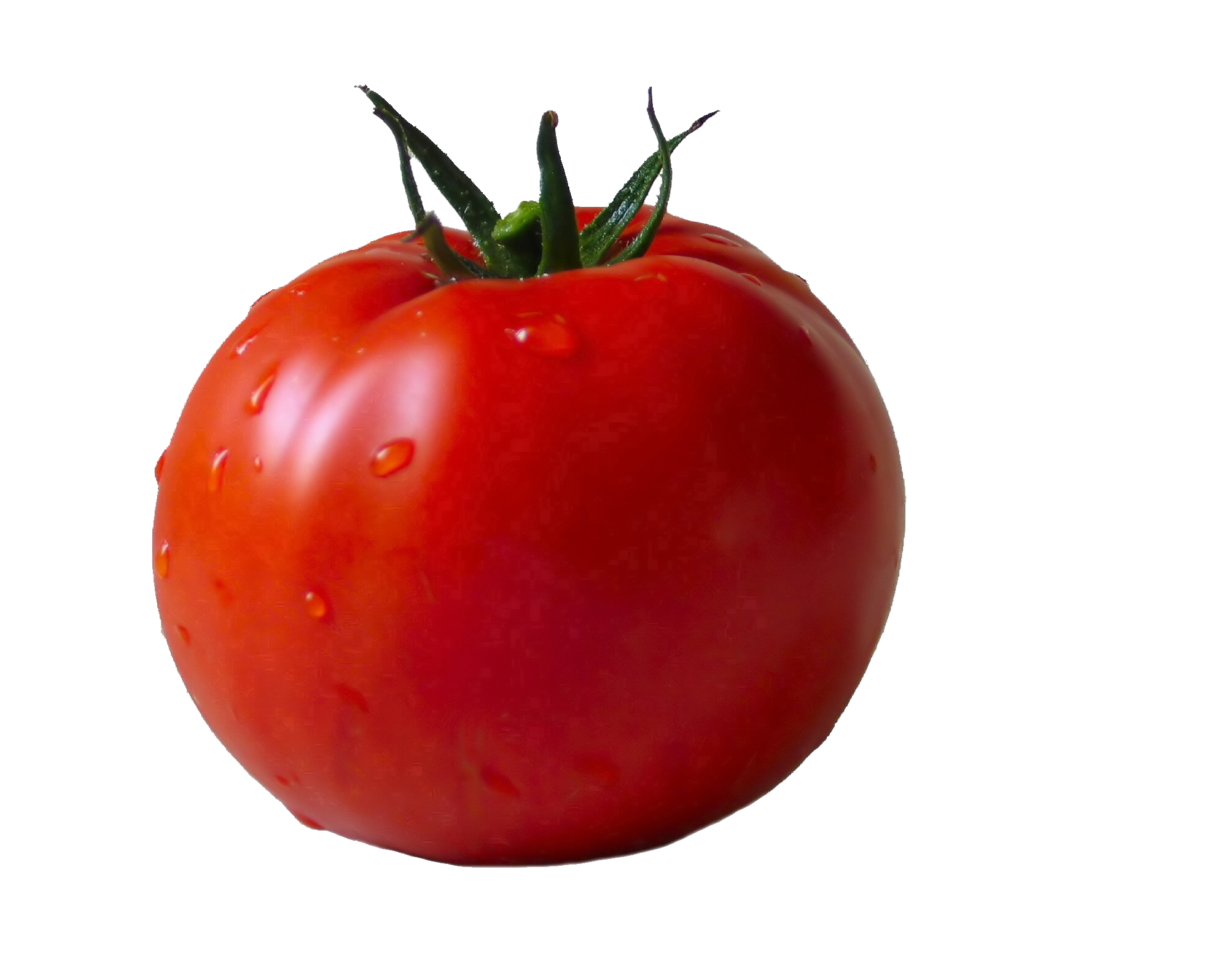Cà chua tươi