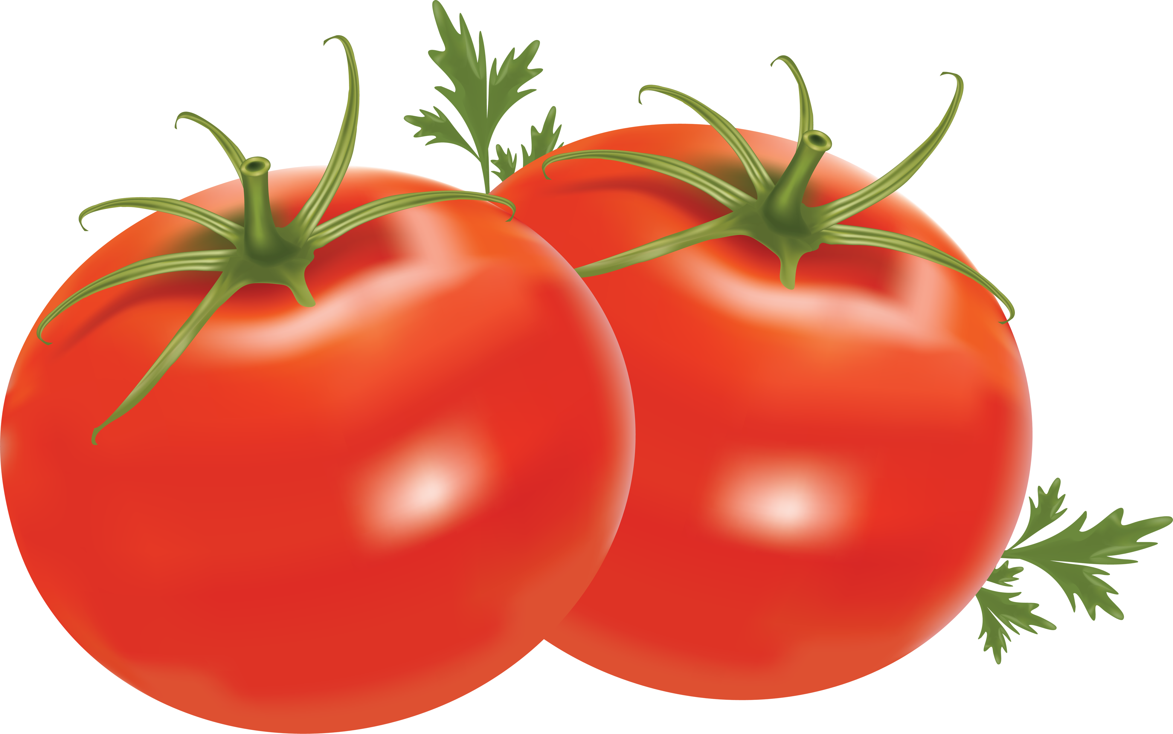 Dois tomates com folhas
