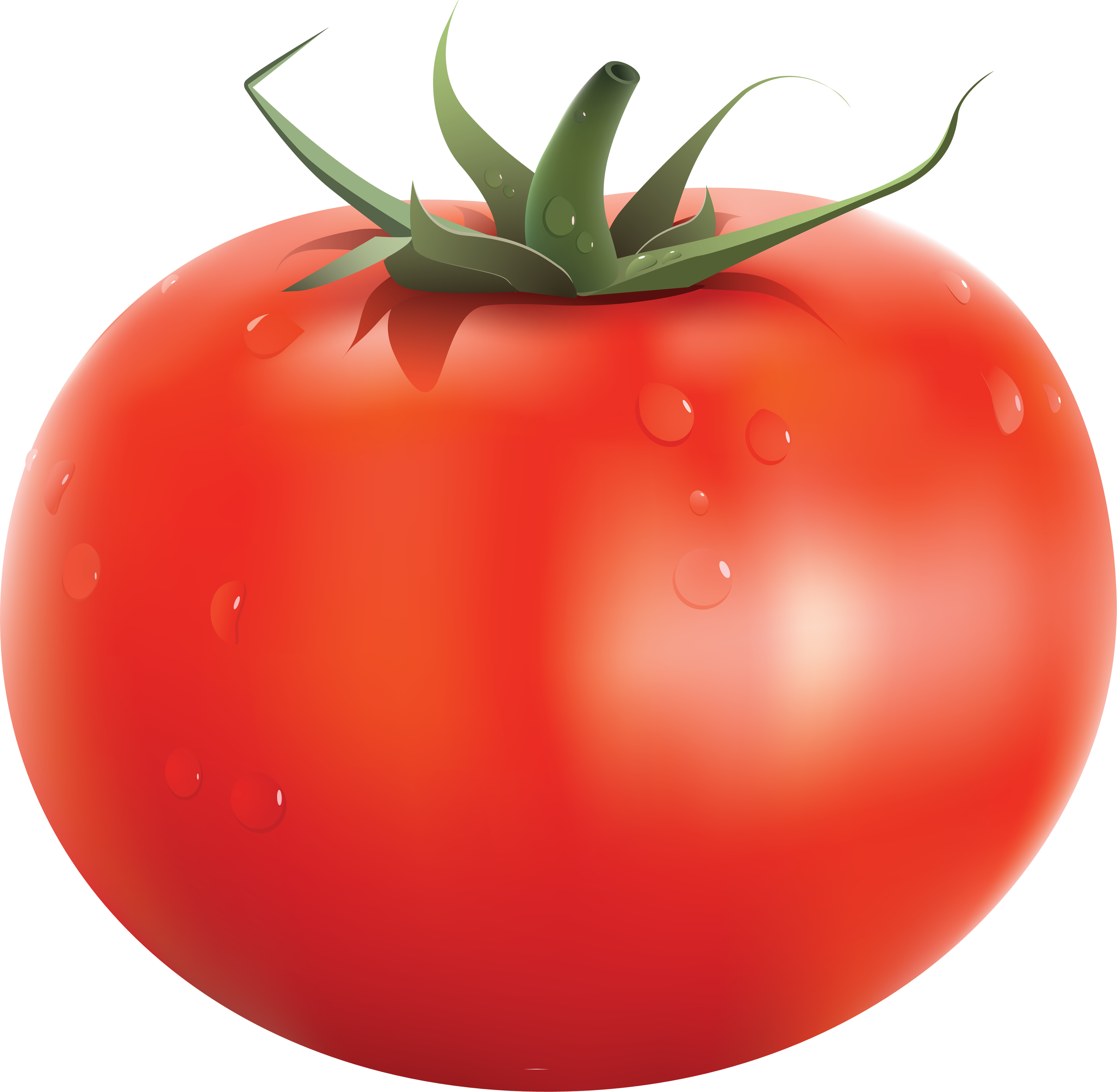 大きな赤いトマト