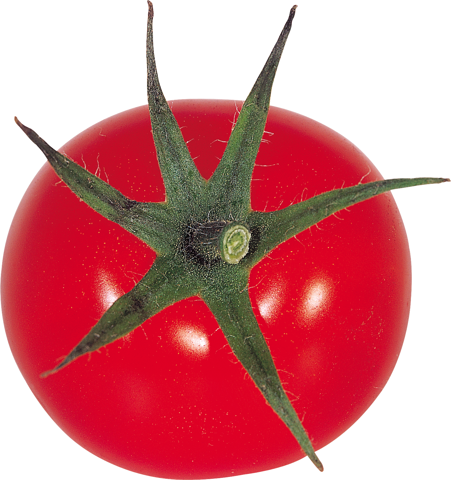 Duże czerwone pomidory