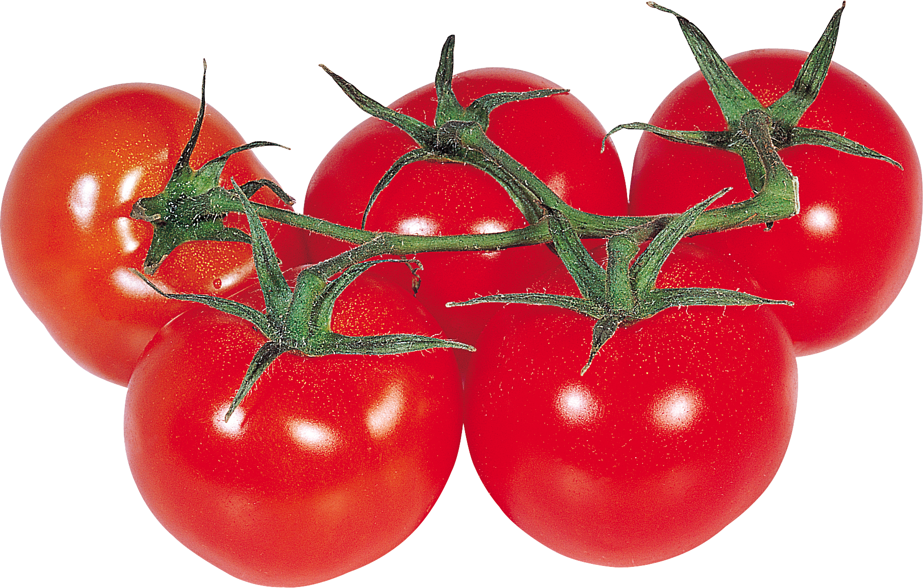 5个西红柿