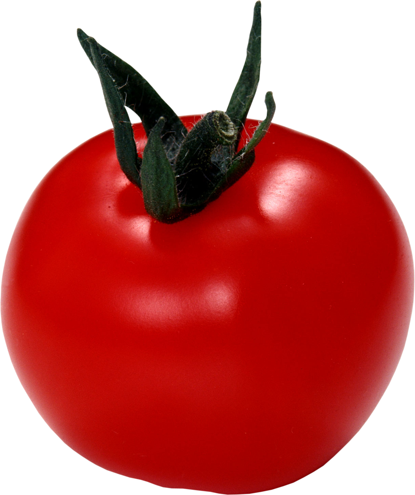 Tomates vermelhos grandes
