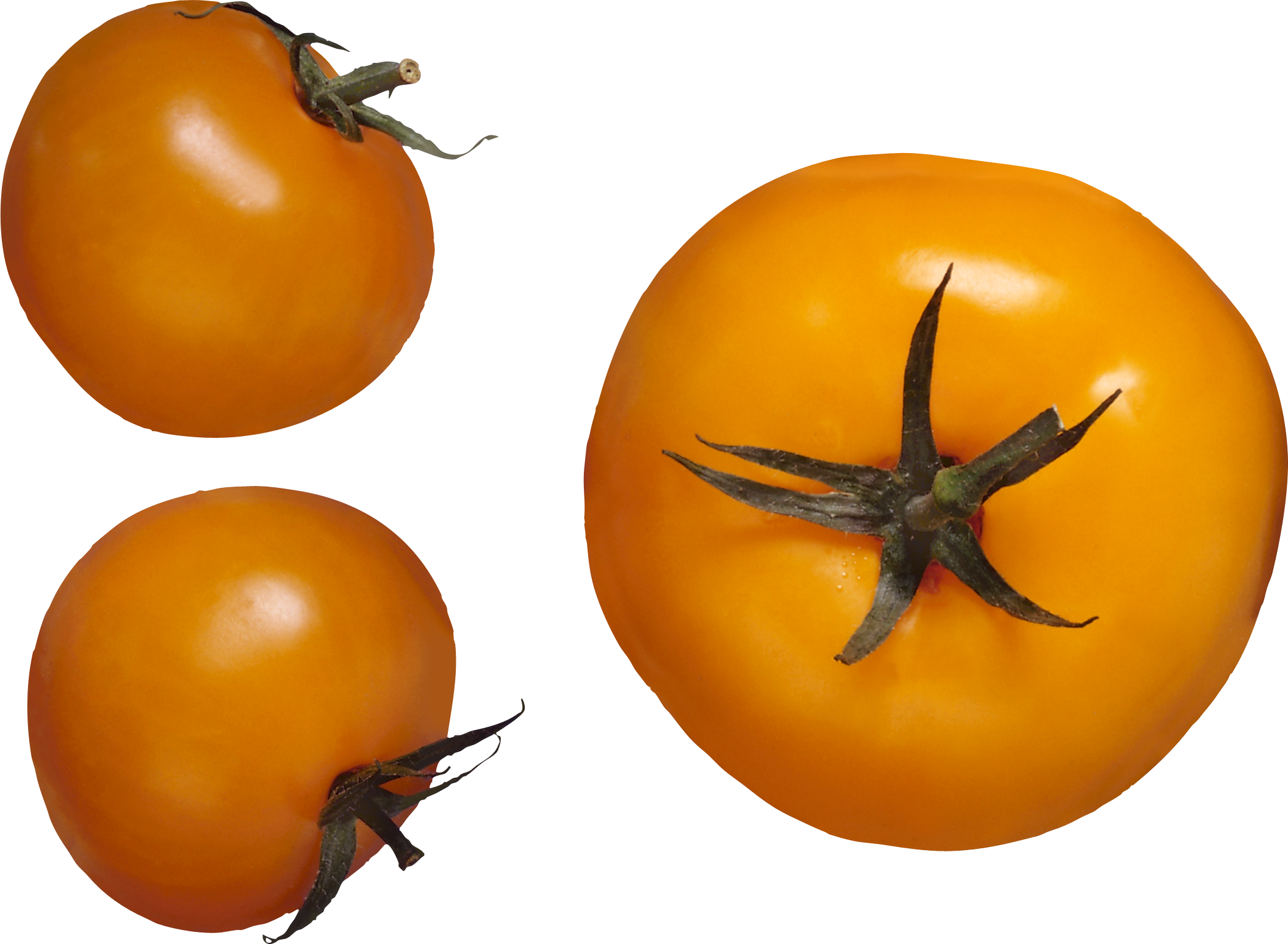 żółte pomidory