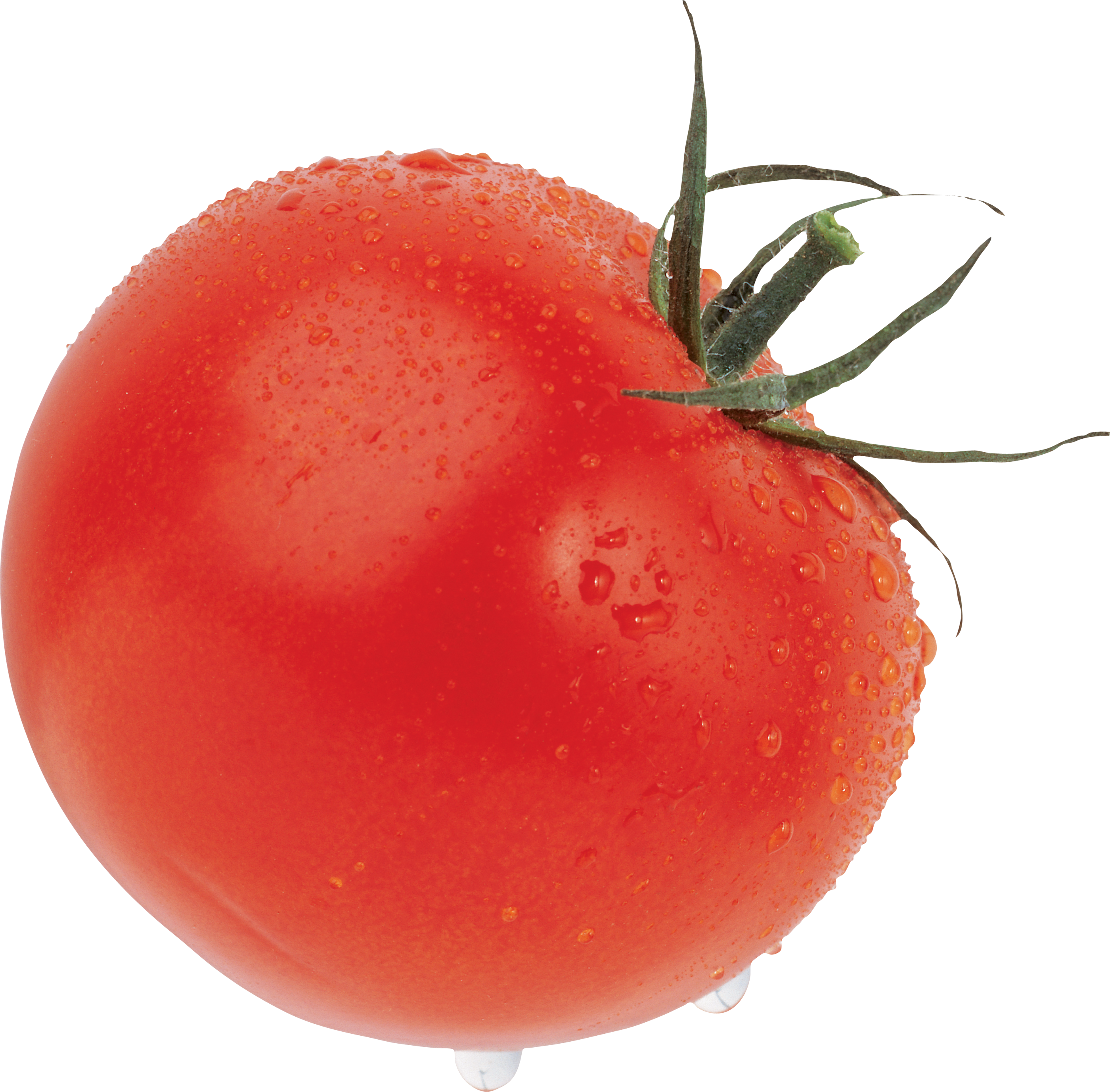 Tomate groß rot