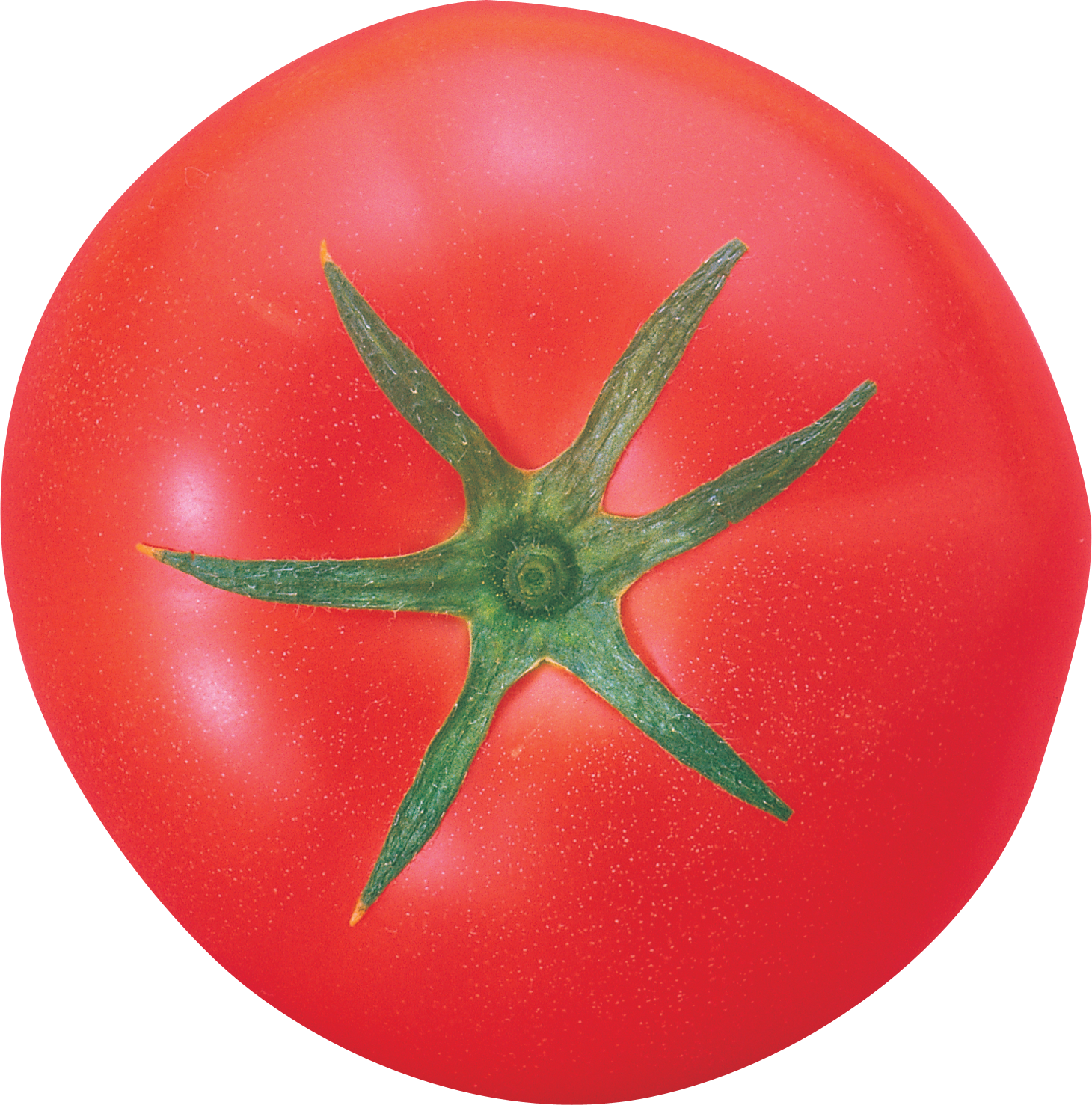 Duży Pomidor