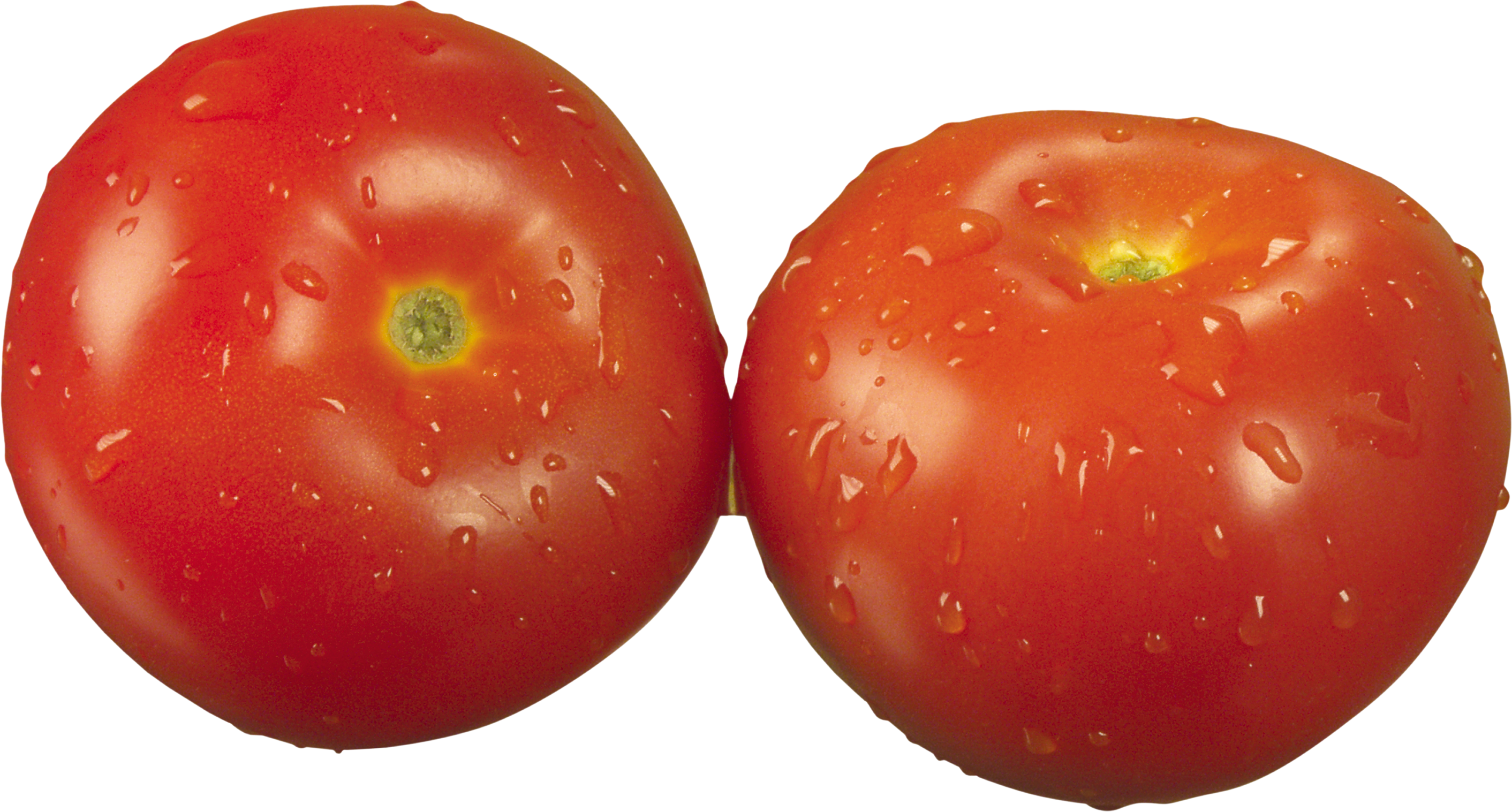 两个番茄
