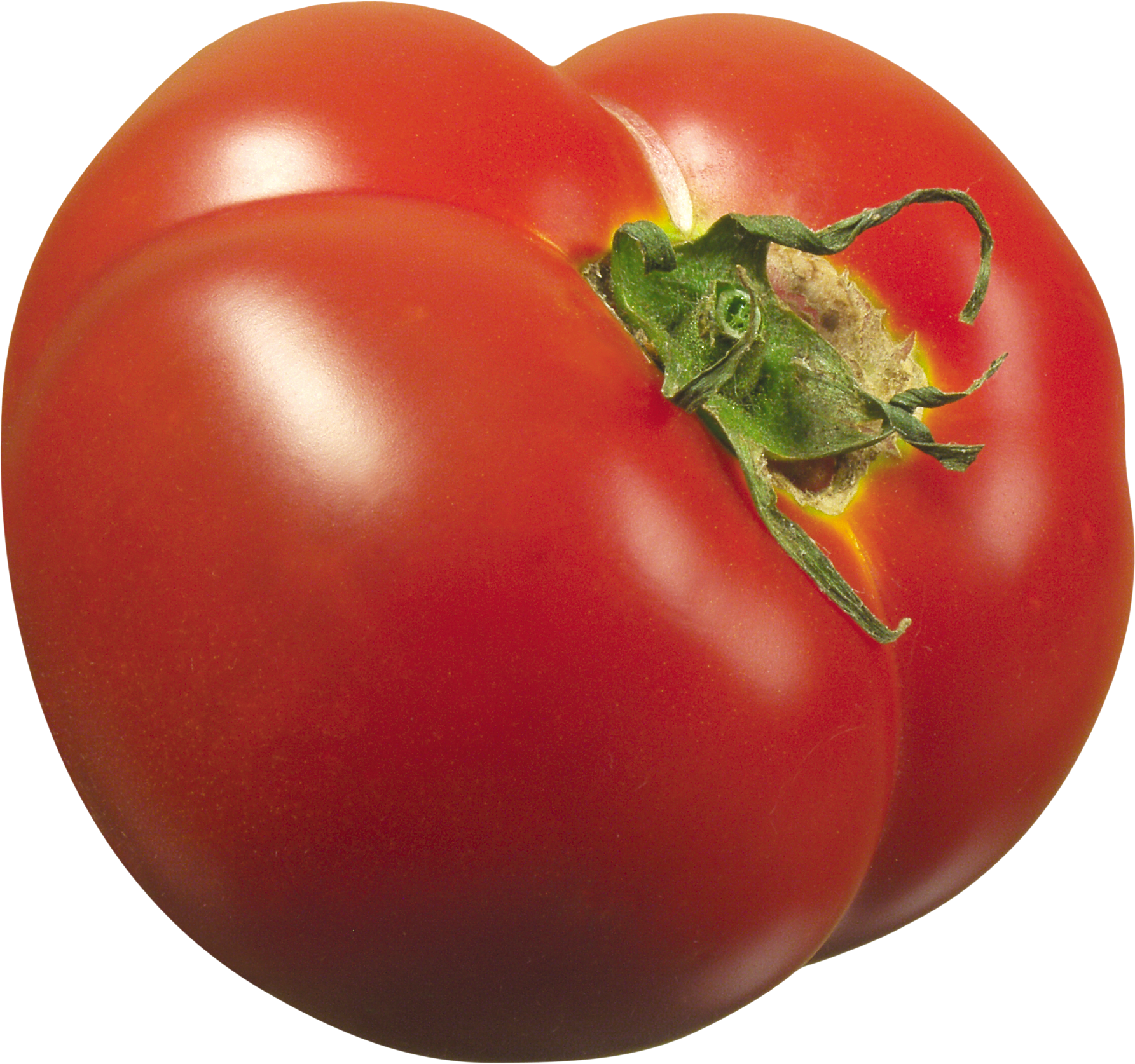 Frische große Tomaten