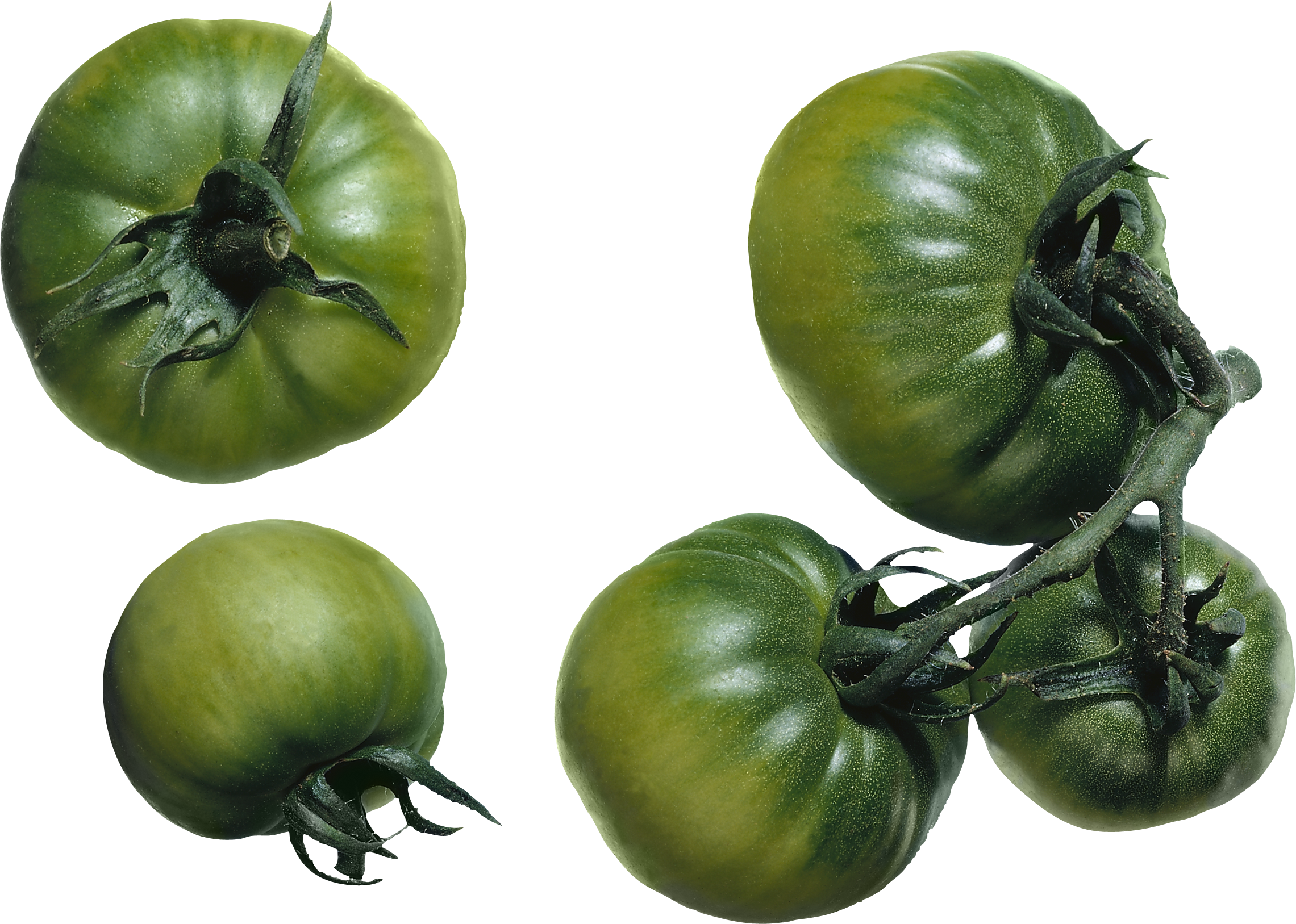 绿色西红柿
