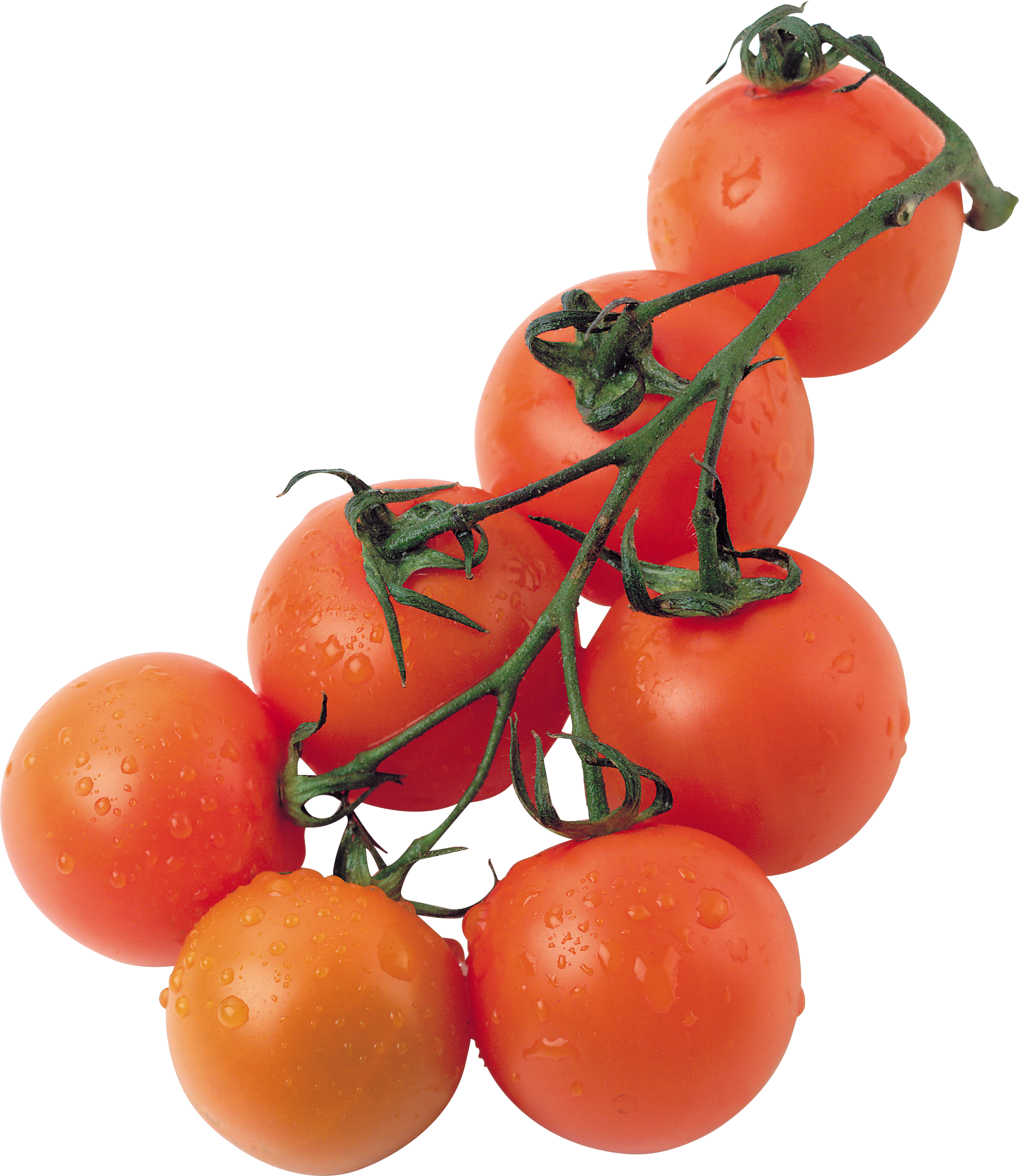 Tomate cereja (tomates pequenos)