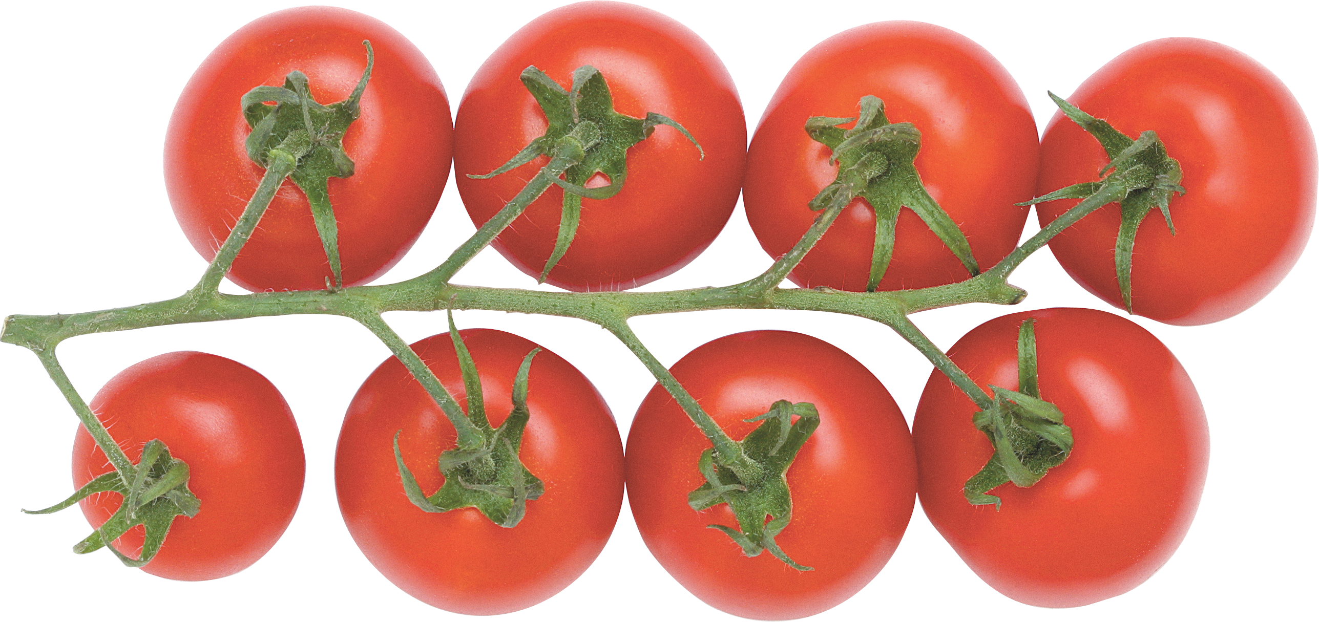 Wiśnia pomidorowa