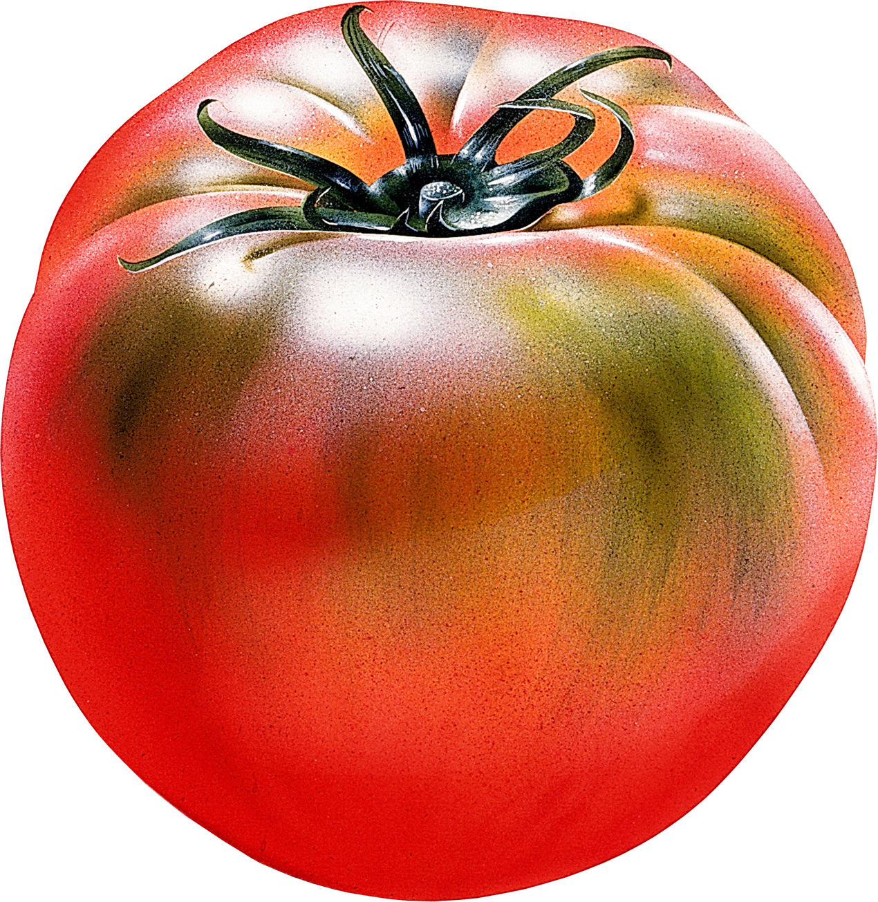 Grosses tomates fraîches
