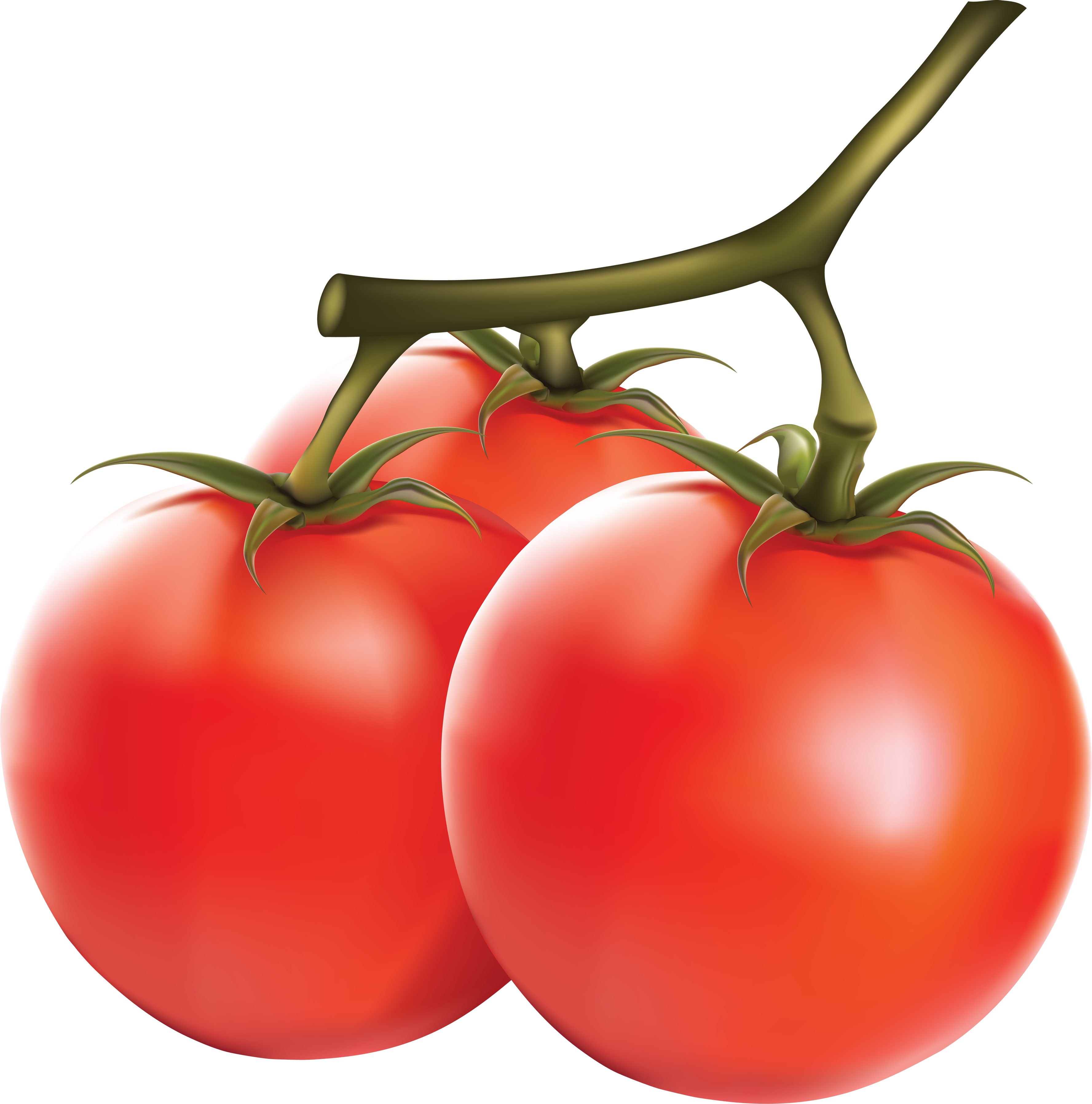 番茄、西红柿