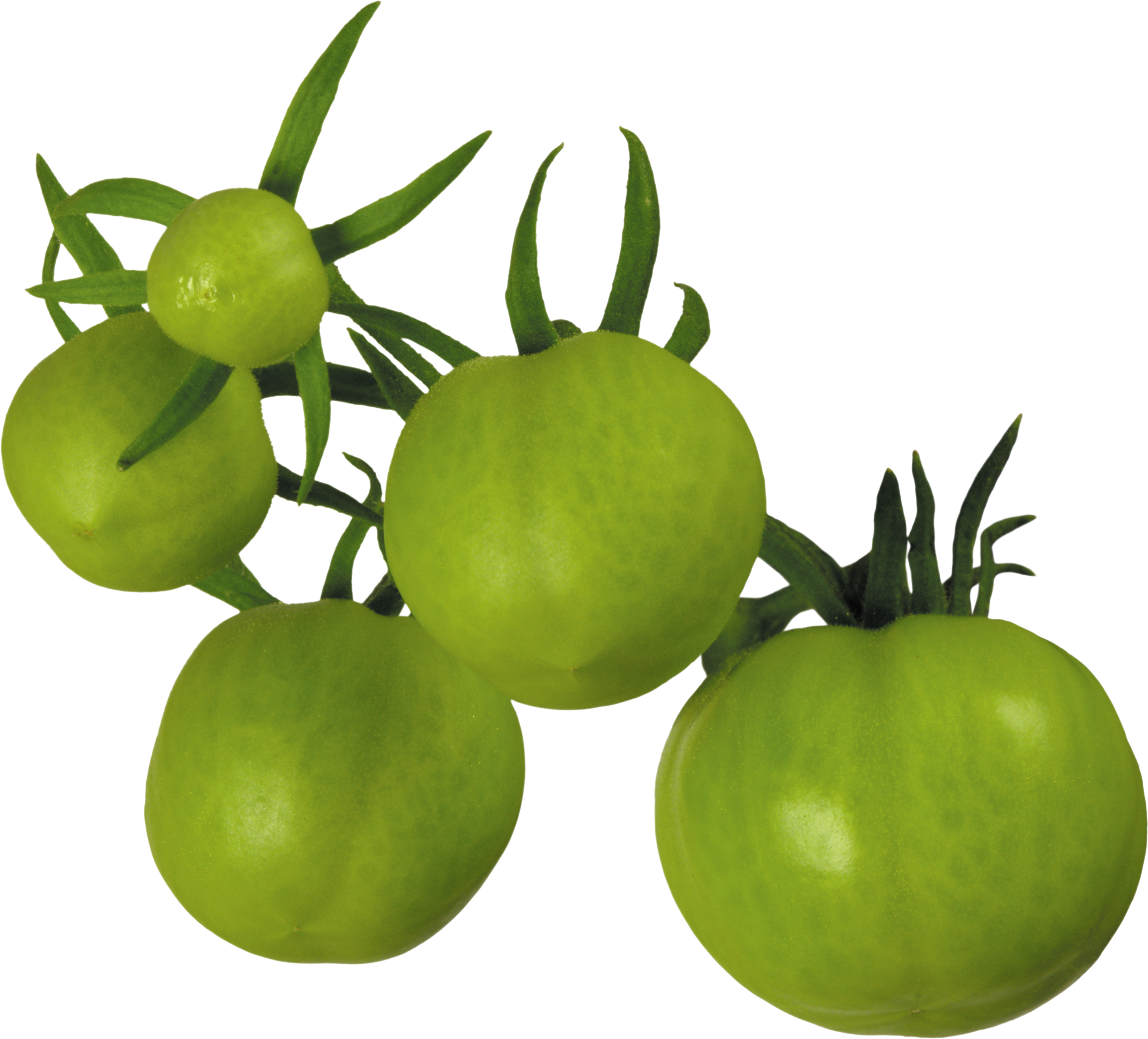 Birkaç yeşil domates